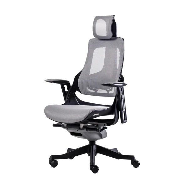 Techni Mobili LUX Ergonomic Executive Chair, Grey RTA-1818C-GRY