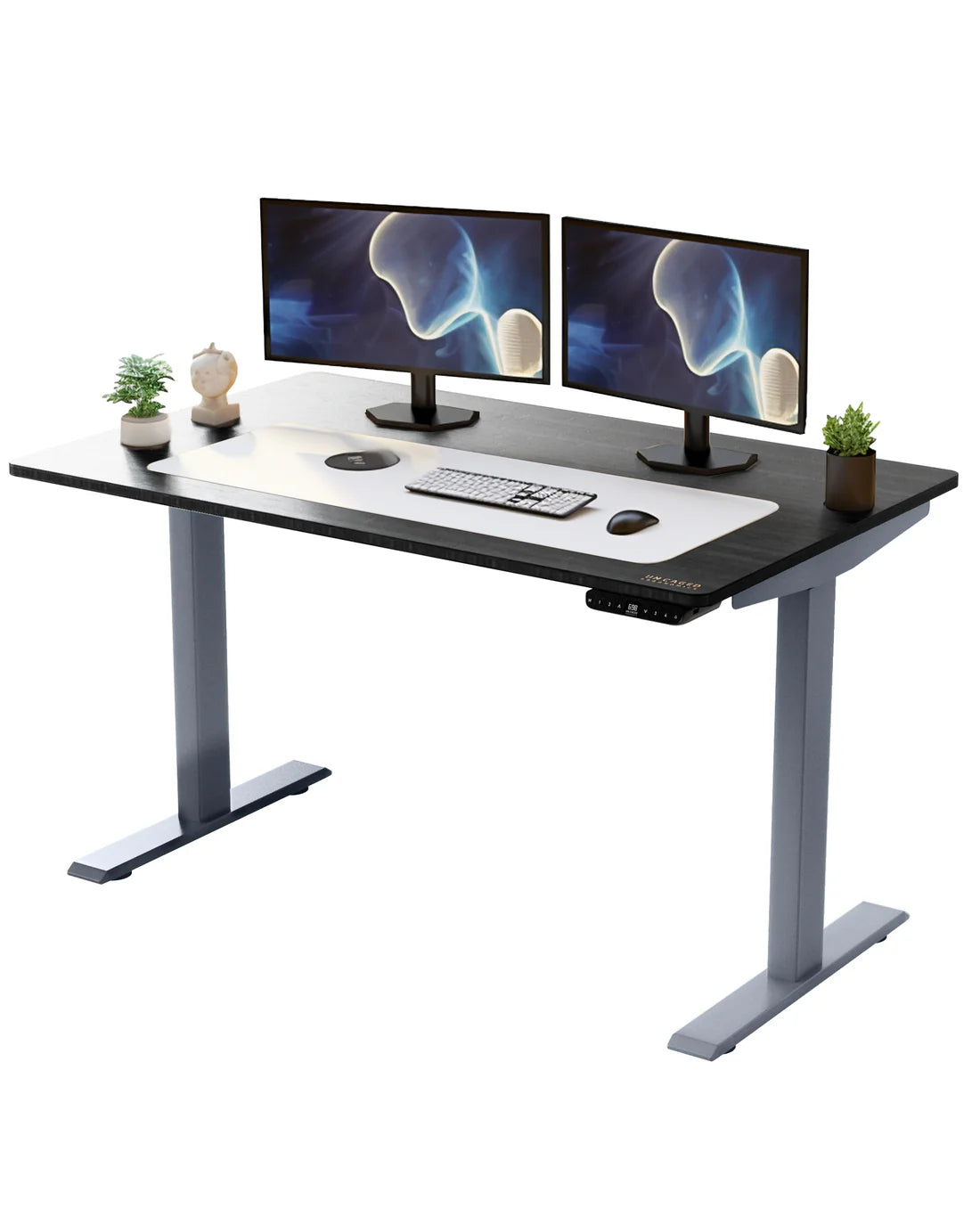 Uncaged Ergonomics Rise Up - electric adjustable height standing desk 23.6 - 49.2" / 48x30"